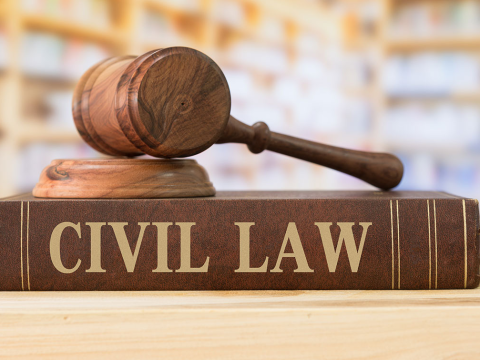 CIVIL LITIGATION